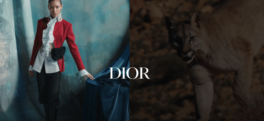 dior